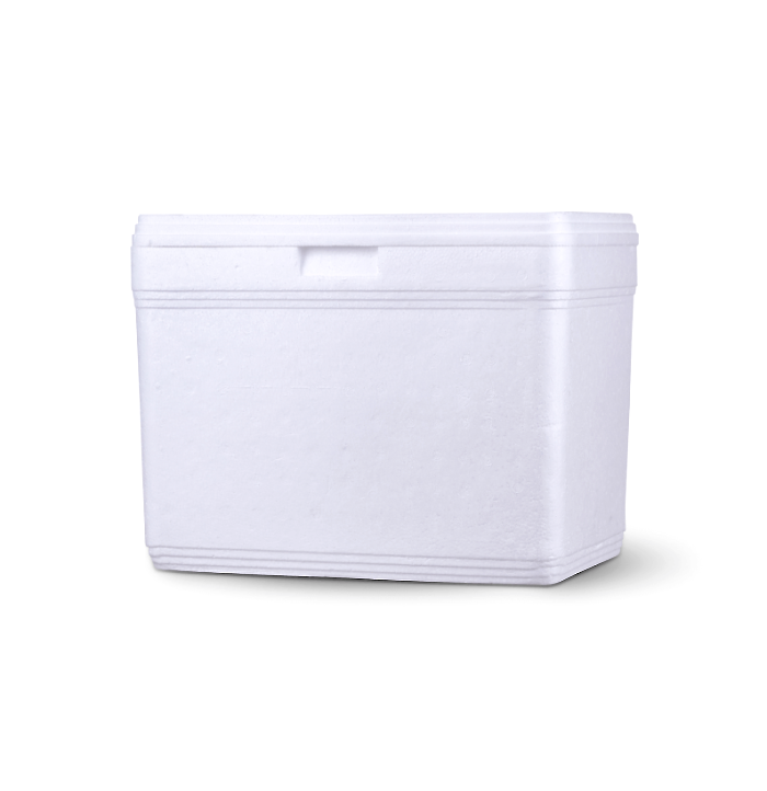 Conservadora de isopor blanca de 22 litros, con tapa y agarre frontal, sobre fondo blanco