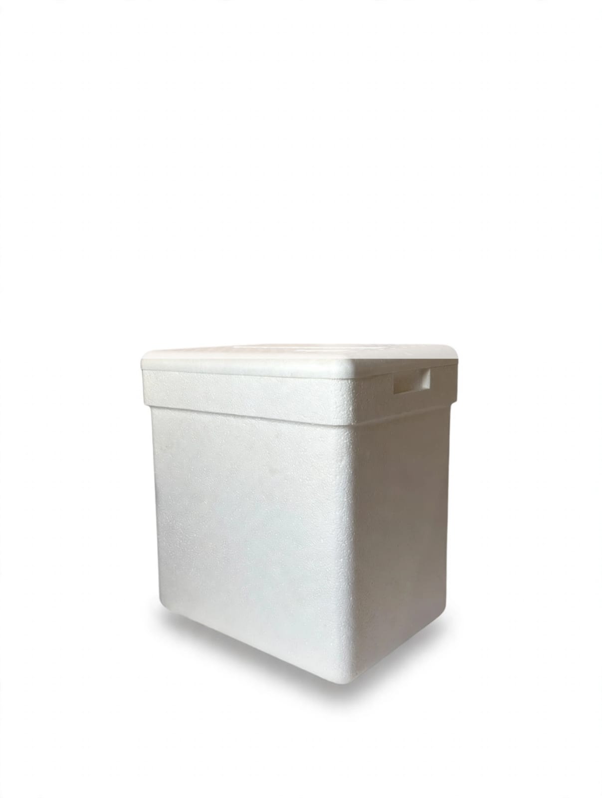 CONSERVADORA MULTIPLAST 17LTS